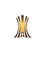Copa Libertadores