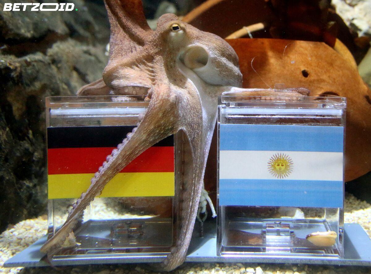 Paul the Octopus Is Dead, But the World Cup Prediction Game Is Very Much Alive.